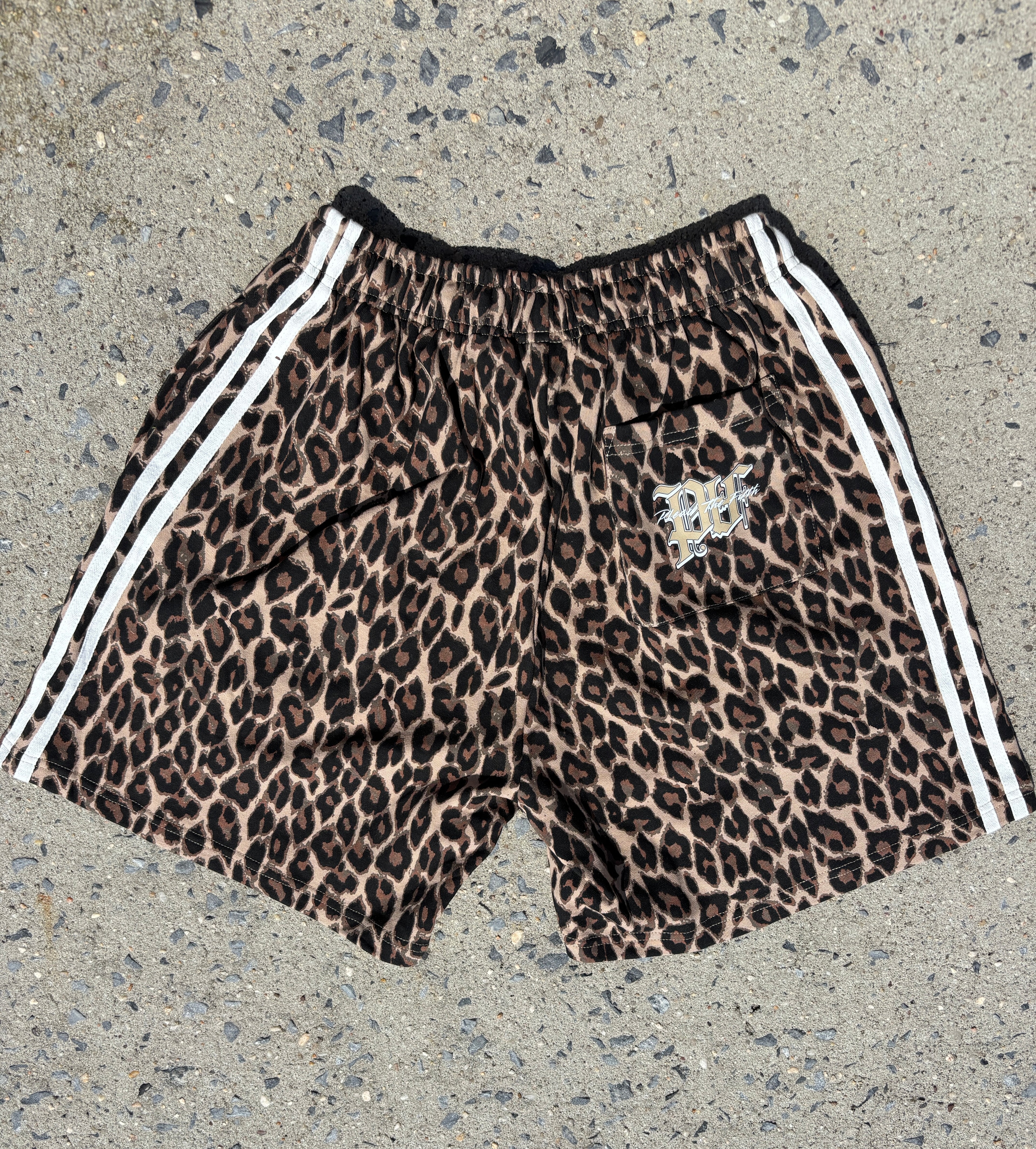 Panthera Ghost Shorts